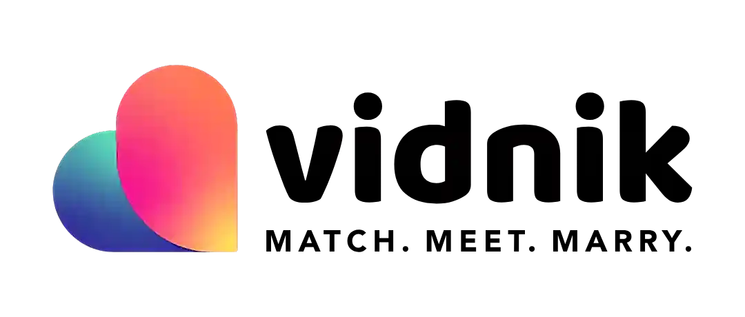 Vidnik Group